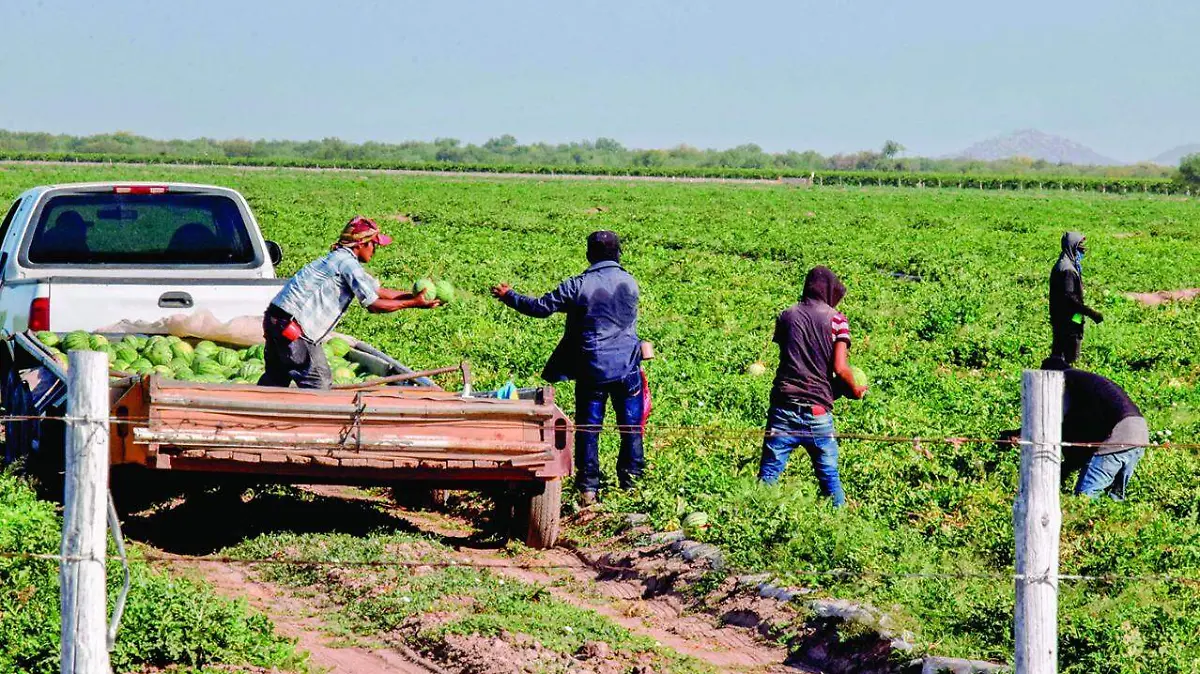 JORNALEROS MIGRANTES, EN HERMOSILLO- ARCHIVO CARLOS VILLALBA- EL SOL DE HERMOSILLO (2)